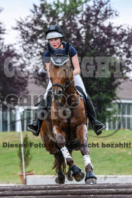 Late-Entry-Vielseitigkeit Langenfeld (11.+13./14.06.2020)