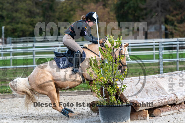 IGV Lehrgang der Sieger der Cups mit Frank Ostholt
