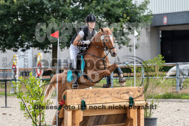 Late-Entry-Vielseitigkeit Langenfeld (06.+07.07.2020)