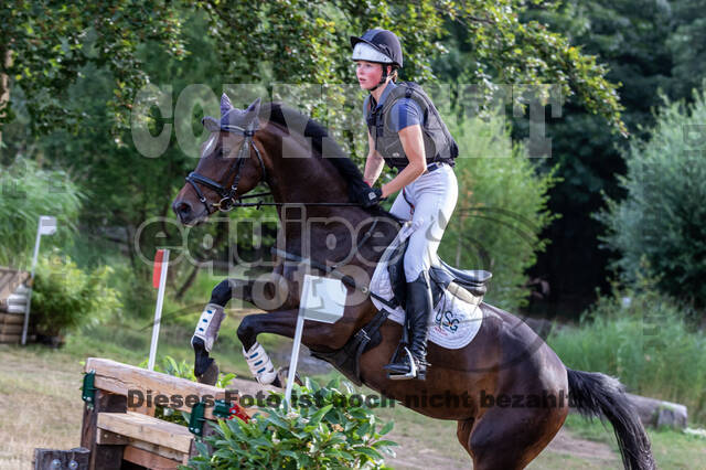 Late-Entry Vielseitigkeit Hamminkeln/Wesel (01.+02.08.2020)