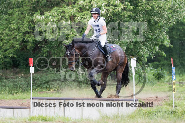 Vielseitigkeitsturnier ZRFV von Lützow Hamminkeln