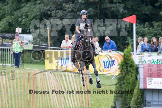 FEI European Championship