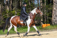 Geländetraining ZRFV Hamminkeln (24+25.04.2021)