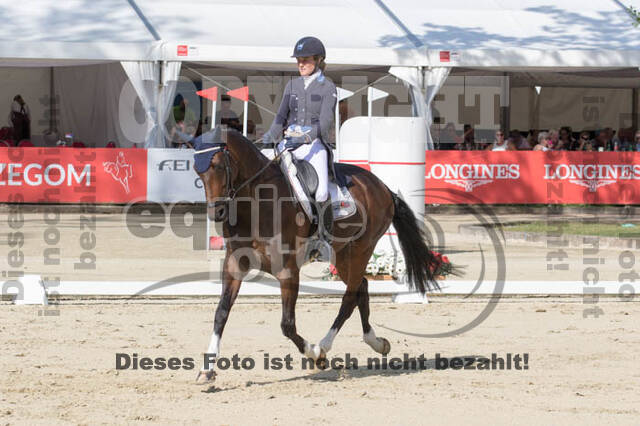 FEI European Championship Eventing 2017