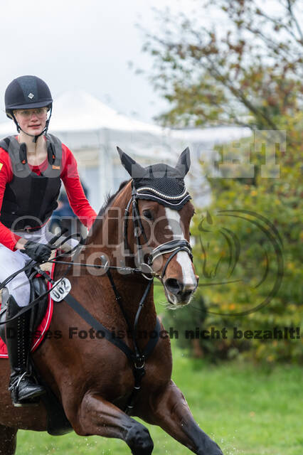 Goldene Schärpe 2020 - Pferde