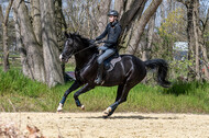 Geländetraining ZRFV Hamminkeln (24+25.04.2021)