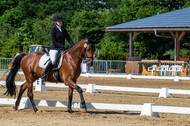 Westerstede Horse Trials 2021