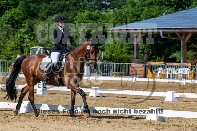 Westerstede Horse Trials 2021
