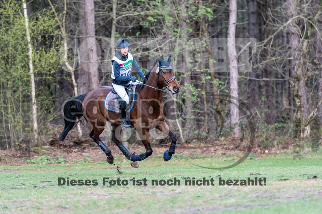 Kronenberg - De Peelbergen (02.04.2022)