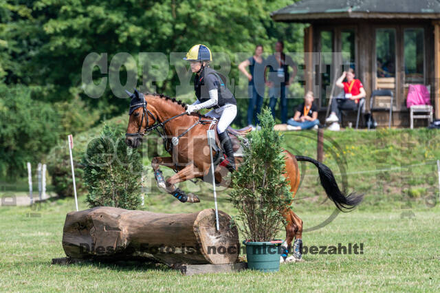 Goldene Schärpe 2021 - Ponys