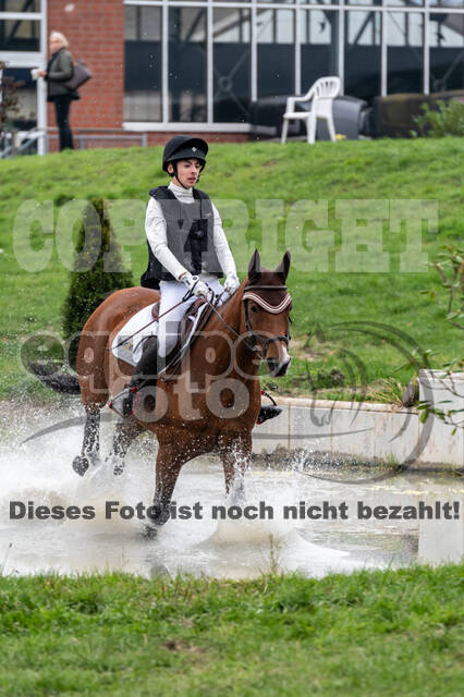 Goldene Schärpe 2020 - Pferde