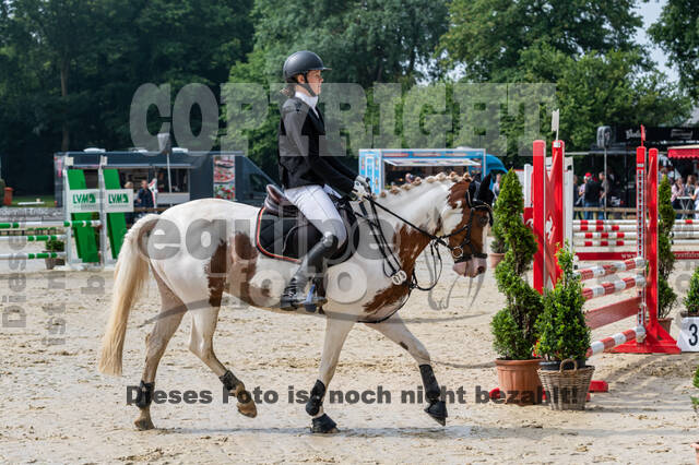 Goldene Schärpe 2021 - Ponys