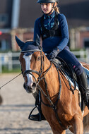 IGV Lehrgang der Sieger der Cups mit Frank Ostholt