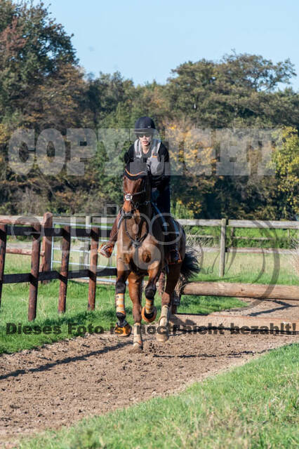 Vielseitigkeitslehrgang mit Jürg Kurbel (9.+10.11.2019)