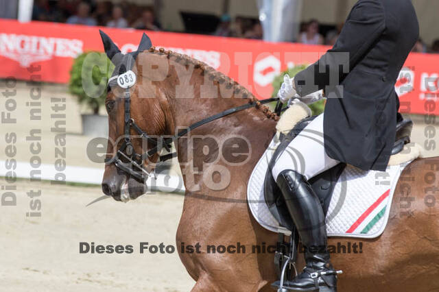 FEI European Championship Eventing 2017