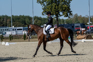 Kronenberg - De Peelbergen (August 2020)