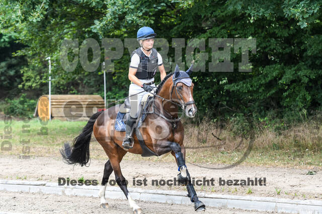 Late-Entry-Vielseitigkeit Langenfeld (11.+13./14.06.2020)