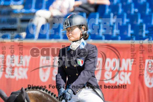 FEI European Championship