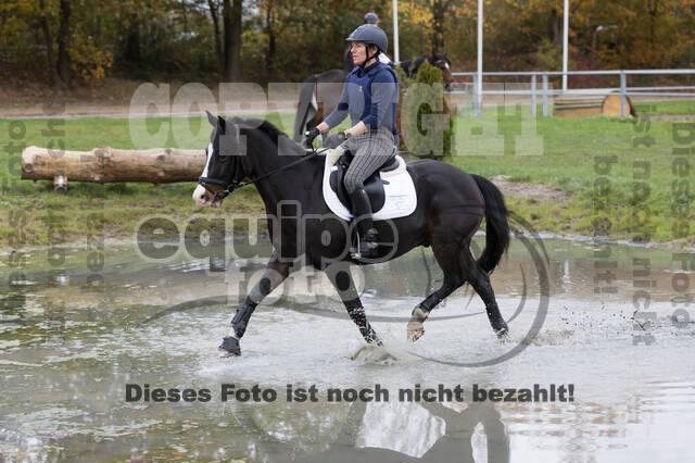 IGV Lehrgang der Sieger der Cups mit Frank Ostholt