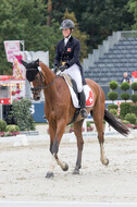 FEI European Championship Eventing 2019