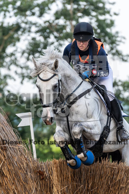 De Peelbergen (August 2020)