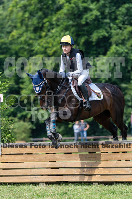 Goldene Schärpe 2021 - Ponys