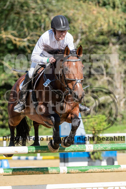 RFV Dinslaken-Hiesfeld (Herbstturnier)