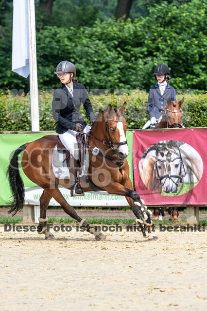 Goldene Schärpe 2021 - Ponys