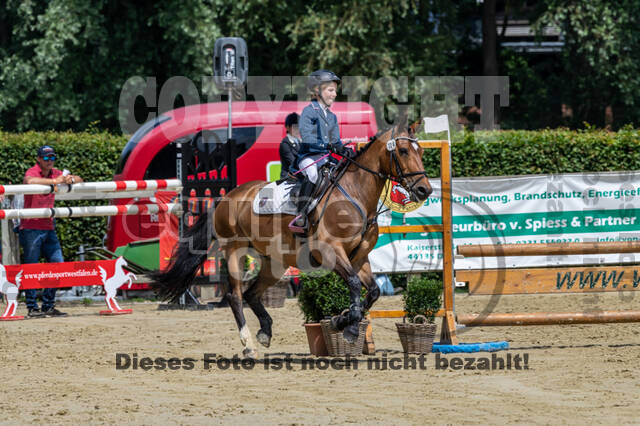 Goldene Schärpe 2021 - Ponys