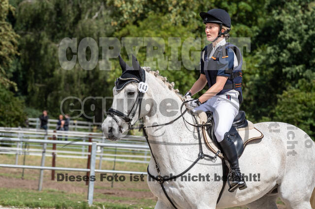 Late-Entry-Vielseitigkeit Langenfeld (06.+07.07.2020)