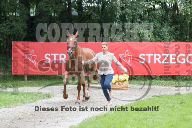 FEI European Championship Eventing 2017