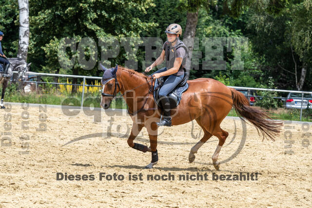 Hunter Geländetraining 10.07.2021 (Sonsbeck)