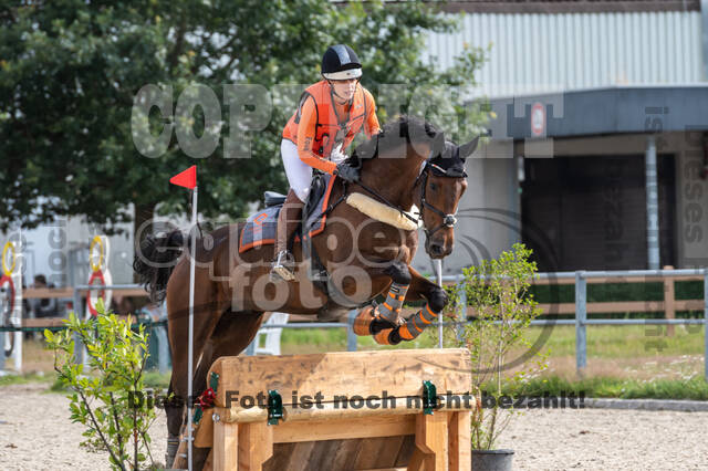 Late-Entry-Vielseitigkeit Langenfeld (06.+07.07.2020)