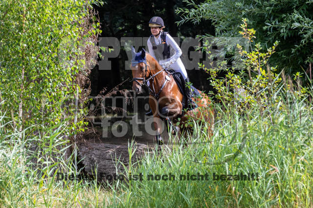 Late-Entry Vielseitigkeit Hamminkeln/Wesel (01.+02.08.2020)