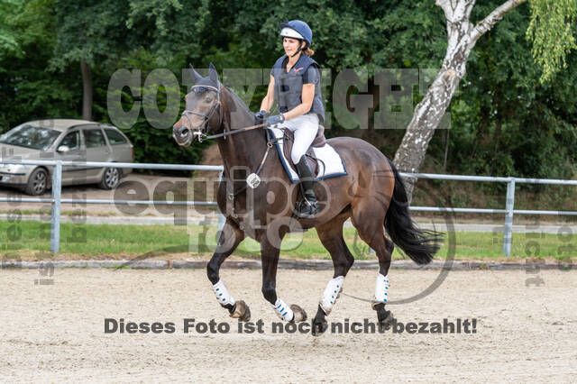 Late-Entry-Vielseitigkeit Langenfeld (11.+13./14.06.2020)
