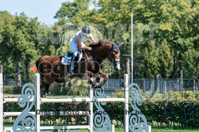 Kronenberg - De Peelbergen (August 2020)