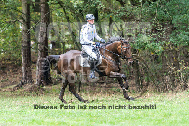 Vielseitigkeit RSV Wesel Obrighoven (26.+27.09.2020)