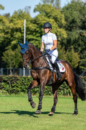 Kronenberg - De Peelbergen (August 2020)