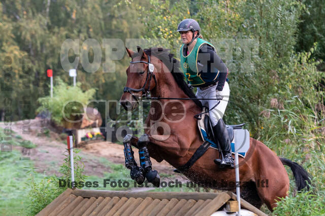 Vielseitigkeit RSV Wesel Obrighoven (26.+27.09.2020)