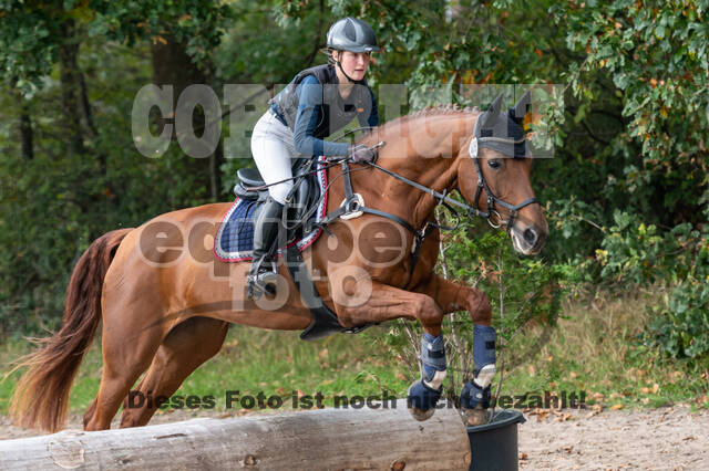 Goldene Schärpe 2020 - Pferde