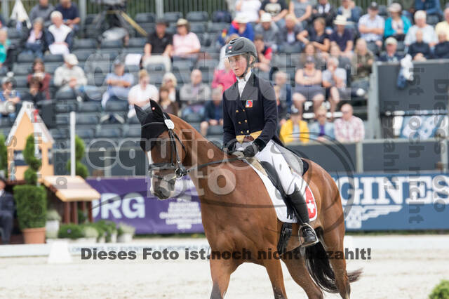 FEI European Championship Eventing 2019