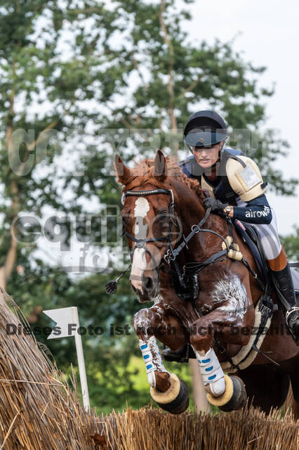 De Peelbergen (August 2020)