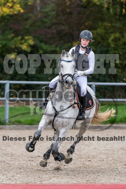 Goldene Schärpe 2020 - Pferde