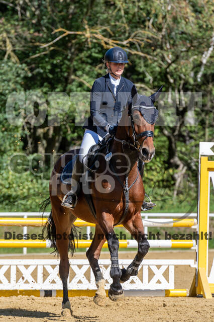 RFV Dinslaken-Hiesfeld (Herbstturnier)
