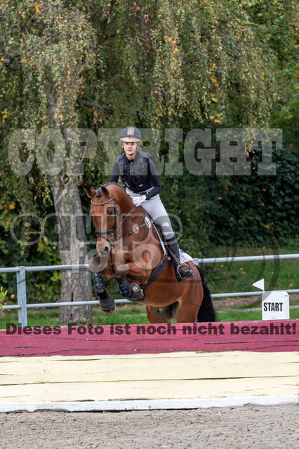 Reiter Schleswig-Holstein