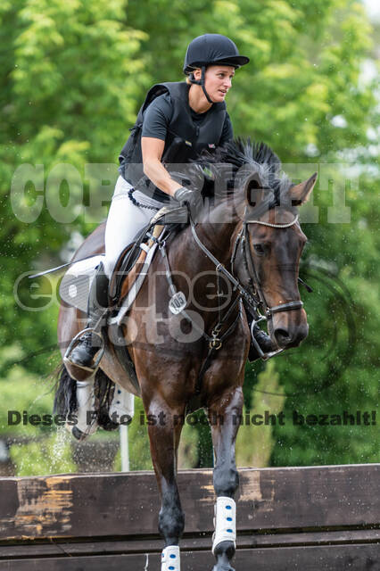Late-Entry-Vielseitigkeit Langenfeld (11.+13./14.06.2020)