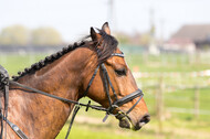 RV Seydlitz Kamp (06.+07.04.2019)