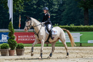 Goldene Schärpe 2021 - Ponys