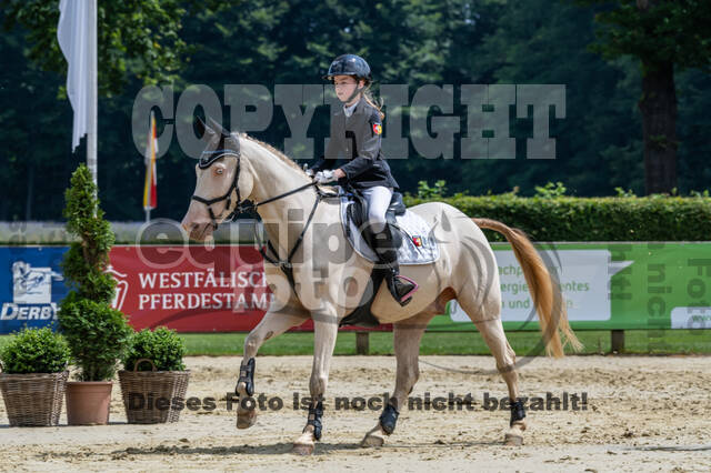 Goldene Schärpe 2021 - Ponys