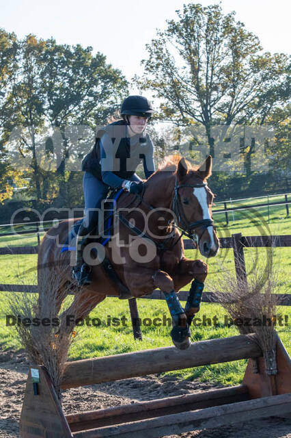 Vielseitigkeitslehrgang mit Jürg Kurbel (9.+10.11.2019)